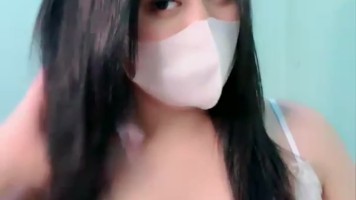 VCS Chalisa Uting Coklat ID 93040583 Mango Host Idaman Pascol